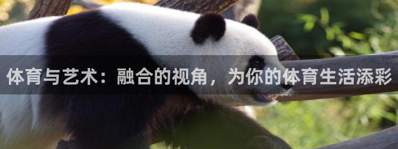 vsport体育官方正版app娱乐是那个系列的台子:体育与艺