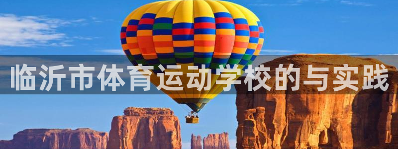 vsport体育官方正版app集团E.ON:临沂市体育运动学